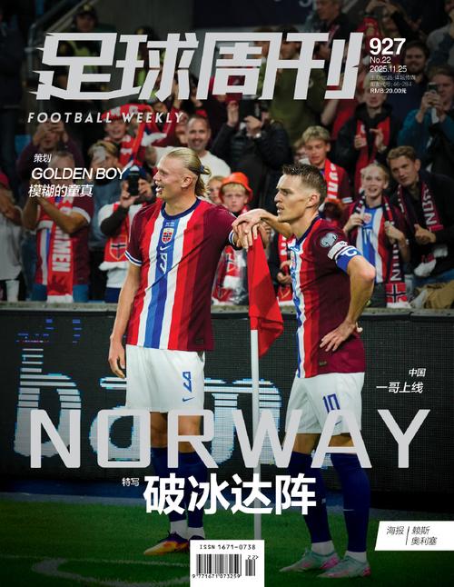 纳帅称可能无缘世界杯！图片报：恩梅查伤势严重，但选择保守治疗